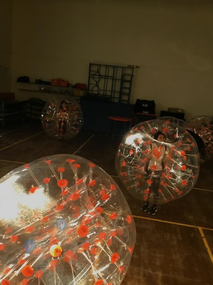 zorb1 