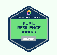 Pupil Resilience Award
